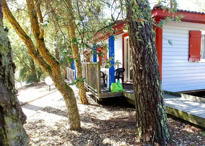 Vakantiepark Vvf Landes